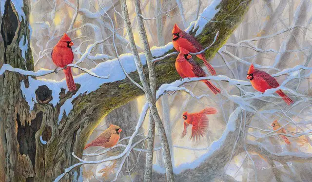 painting of cardinals on snow-covered branches