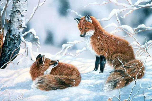 painting of two foxes playing in snow